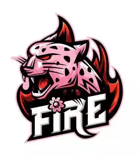 火豹之前阵容(最新火烧队阵容)