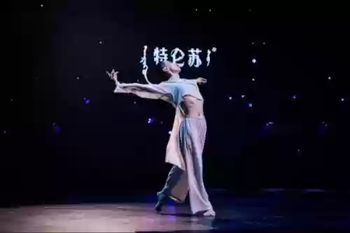 舞蹈神仙阵容(十大最有气质的舞蹈)插图7