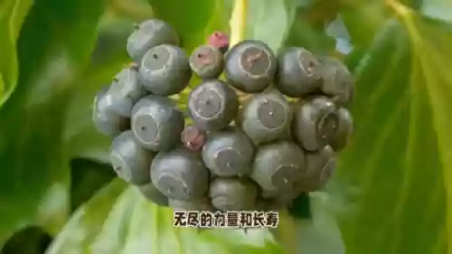 黑暗亚瑟阵容(亚瑟输出最强出装)