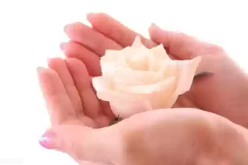 无法触碰的掌心情人(无法触碰的掌心类似)插图11