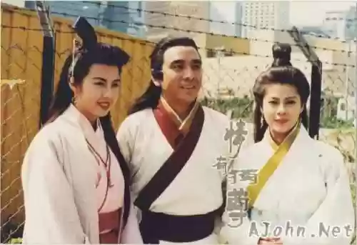 九阴真经姜大卫版20(九阴真经姜大卫版全集百度视频)插图48