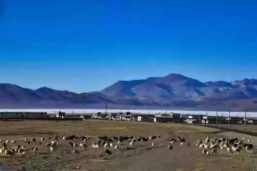 阿里阵容装备(部落冲突装备搭配)插图12