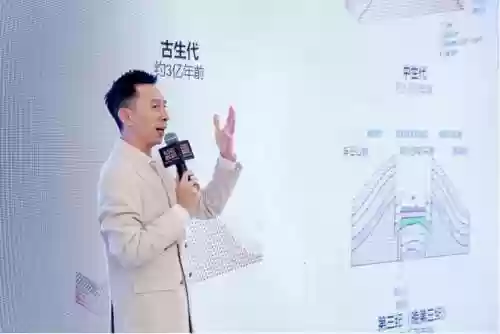 风土绝佳阵容(风主平民最强阵容搭配)插图3