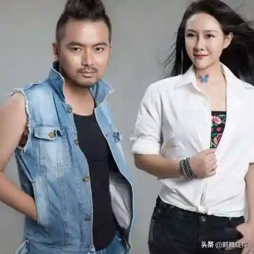 网络歌曲推荐(十大网络爆红歌曲)插图1