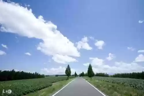 斗神再临扬易云阵容(斗罗大陆斗神再临官方)插图1