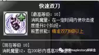 冒险岛暗影双刀技能加点(2024冒险岛t0输出的职业)插图9