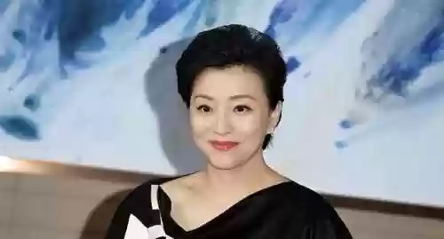 全明星企业家阵容名单(全明星三国最强阵容)插图17