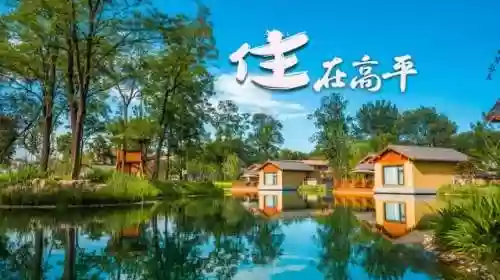 高平比赛阵容(剑盾双打阵容)插图6