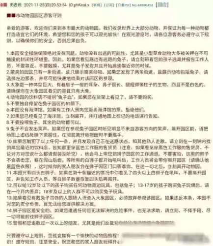 规则怪谈阵容(规则怪谈怎么通关)插图13