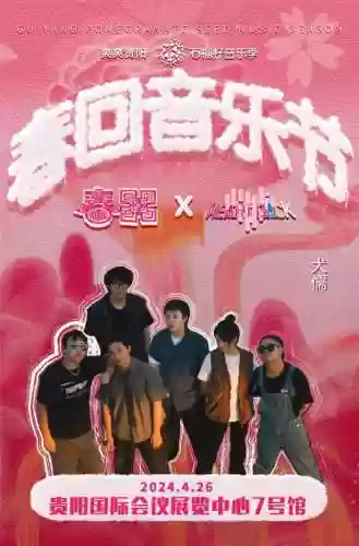 贵阳音乐阵容(贵阳黑脚杆歌mp3)插图5