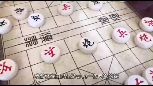 屠龙阵容下棋阵容推荐(三国杀自走棋最强阵容)插图2