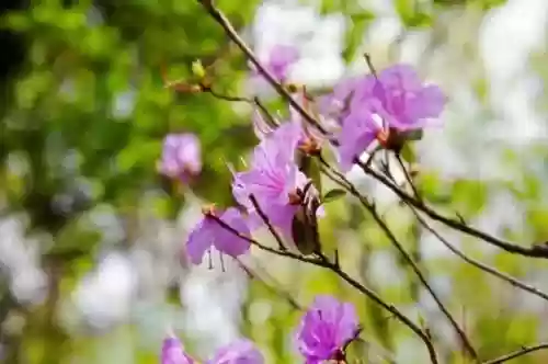 阵容彭佳慧(彭佳慧所有歌曲大全)插图12