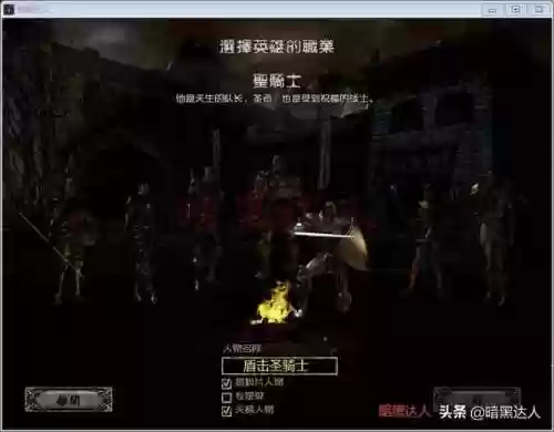 暗黑2圣骑士技能加点图(祝福之锤圣骑士技能加点)