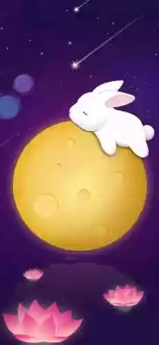卡通兔子图片(小兔子的简笔画)插图33
