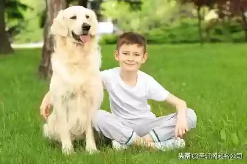 男孩阳刚硬气的名字(夏姓男孩气质高雅名字)插图2