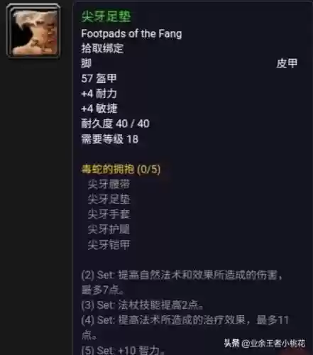 大德鲁伊纳拉雷克斯(魔兽世界纳拉雷克斯)插图10