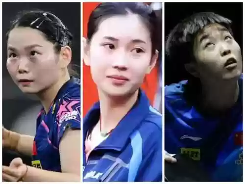 颗粒阵容搭配(橙绒蚁阵容搭配)