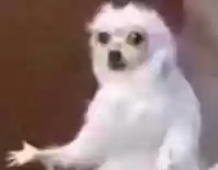 三维版单奶阵容搭配(三势阵最强T0阵容)