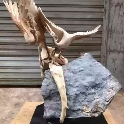 东北神仙阵容(东北八大仙)插图4
