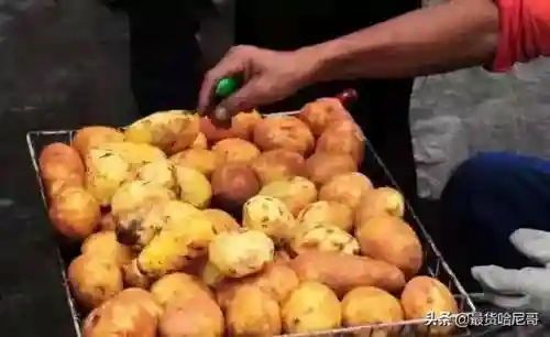 2019泸西最佳阵容(桑巴军团最强阵容)插图1