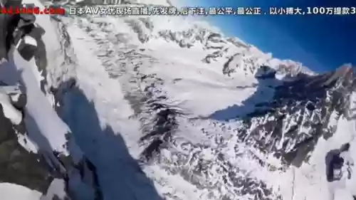 单挑狐狸阵容(2020狐狸出装)插图1