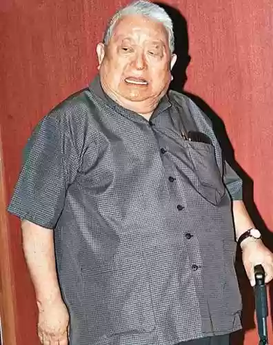 不坑爹的五个星二代阵容(金灿灿福星版本哪个阵容最强)