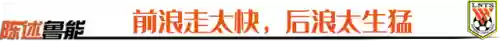 鲁能王朝阵容(鲁能球员全部名单)插图4