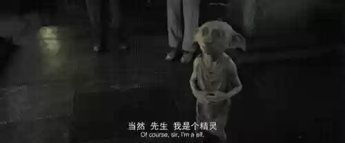 精灵巫师阵容(精灵训练师阵容搭配)插图14