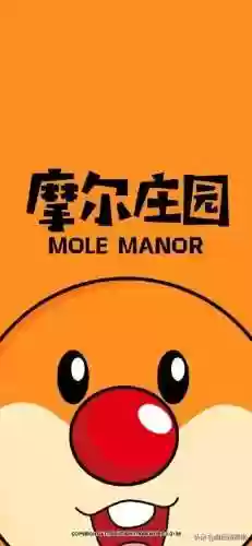 摩尔庄园全员图(摩尔庄园账号密码全忘了)插图26