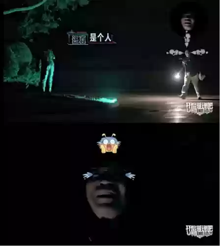 集结季第二个任务位置(大树屋第二个任务怎么做)插图9