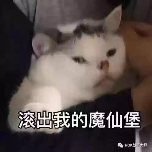 万国劫掠者怎么搭配阵容(万国觉醒后期最强阵容)插图24