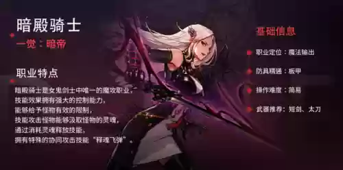 dnf哪个副职业最有用(dnf最吃香的职业)插图3