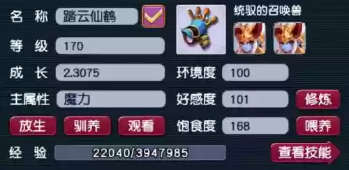 梦幻西游法伤加什么阵容(梦幻西游双法系队伍配置)插图2