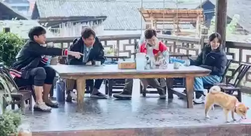 向往的生活5阵容推荐图(植物大战僵尸最强阵容搭配图片)