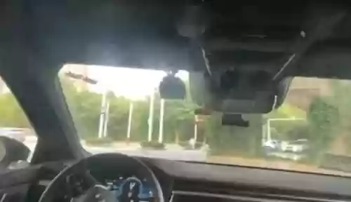 神奇萝卜阵容(植物大作战阵容推荐)