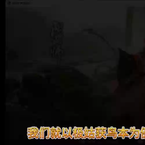 地域高分阵容(最佳阵容平民攻略)