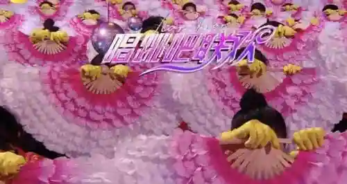 2018湖南春晚阵容不行(拒绝上春晚的8大明星)插图9