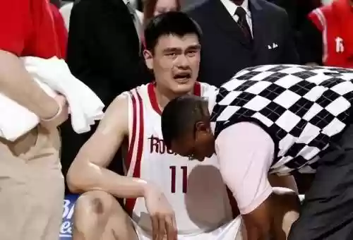 2002爵士阵容(2002年巴西队阵容)插图9