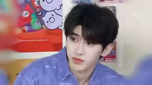 跑男历年嘉宾阵容介绍(奔跑吧有哪些嘉宾)插图21