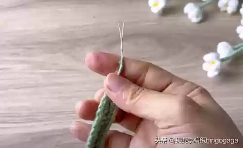 满天星花束(满天星花语及寓意)插图25