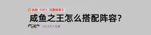 咸鱼新手阵容(咸鱼之王爬塔最强阵容)