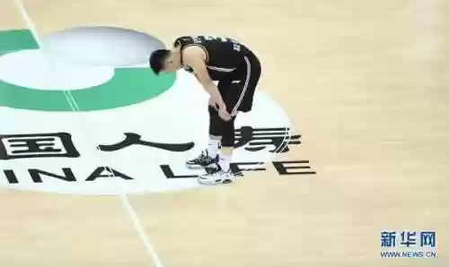 辽宁 亚军 阵容(新赛季辽宁队队员名单)插图6