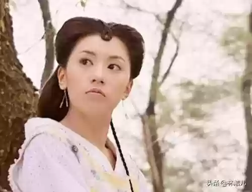 贾静雯天龙八部阵容图片(新天龙八部的演员表和角色介绍)插图6