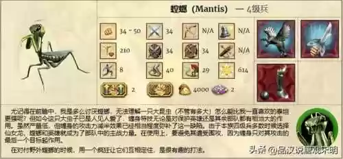英雄无敌四最强阵容排行(英雄无敌4英雄职业一览)插图8