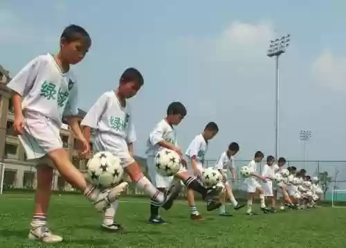 绿城队主力阵容对比(绿城和万科哪个品质高)