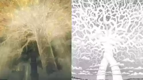 暗黑骑士黑魂地下城(黑暗之魂1黑骑士有几个)插图4 暗黑骑士黑魂地下城(黑暗之魂1黑骑士有几个)插图4