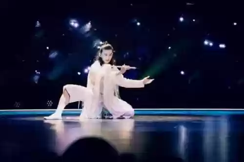 舞蹈神仙阵容(十大最有气质的舞蹈)插图3
