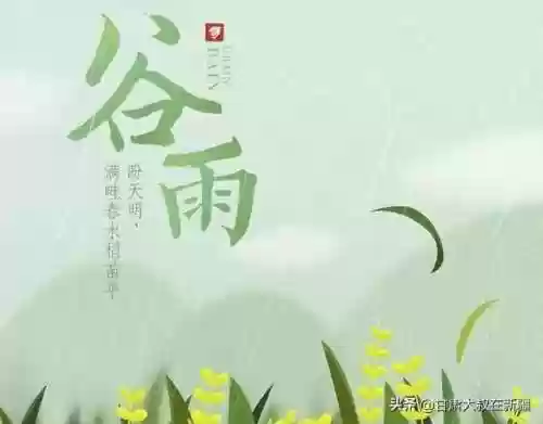 阴阳师布谷鸟阵容2022(2024阴阳师各副本阵容推荐)插图1