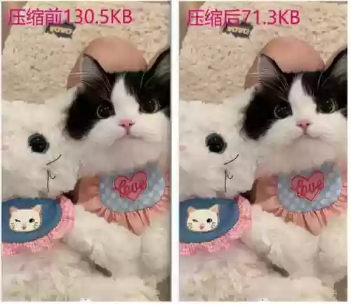 图片编辑软件哪个好(图片编辑器免费版)插图18