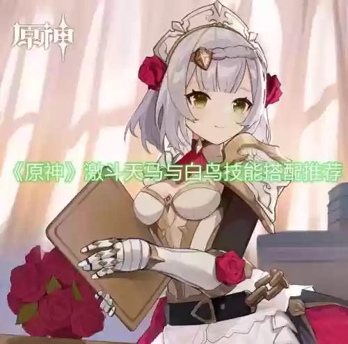 天马与白鸟阵容(大天狗阵容搭配 最强)
